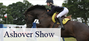 Ashover Show