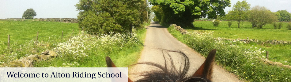 Welcome to Alton Riding School
